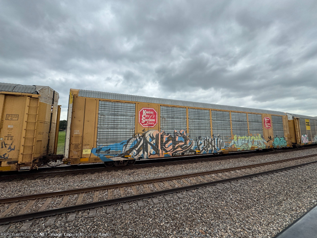 TTGX 691836